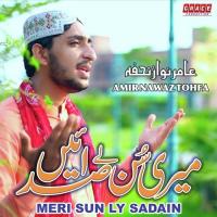 Meri Sun Ly Sadain Amir Nawaz Tohfa Song Download Mp3