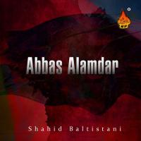 Abbas Alamdar songs mp3