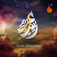 Amman Di Jaai Syed Aftab Ali Qadri Chishti Song Download Mp3