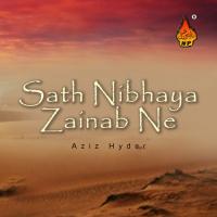 Sath Nibhaya Zainab Ne songs mp3