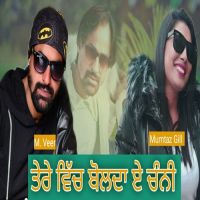 Tere Wich Bolda E Channi Mveer Song Download Mp3