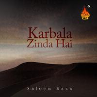 Karbala Zinda Hai Saleem Raza Song Download Mp3