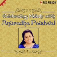 Celebrating Melody With Anuradha Paudwal songs mp3