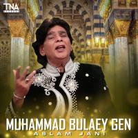 Muhammad Bulaey Gen Aslam Jani Song Download Mp3