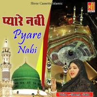 Pyare Nabi songs mp3
