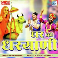 Ghar Ki Dhariyani Salim Shekhawas Song Download Mp3