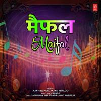 Ranawanat Jhalya Mansi Hedaoo Song Download Mp3