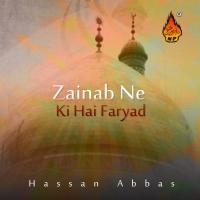 Mein Zinda Aagaya Hoon Karbala Se Hassan Abbas Song Download Mp3