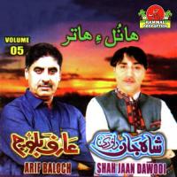 Paa Arsi Pagalo Shahjahan Dawoodi Song Download Mp3