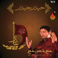 Bol Rahe Hain Zainab Mir Hassan Mir Song Download Mp3