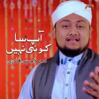 Aap Sa Koi Nahi Muhammad Ahsan Qadri Song Download Mp3