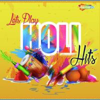 Kin Sang Khelu Holi (From "Braj Ki Holi") Seema Mishra Song Download Mp3
