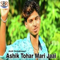 Ashik Tohar Mari Jaai Amit Gorakhpuri Song Download Mp3
