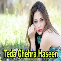 Teda Chehra Haseen Bilal Hussain Bila Song Download Mp3