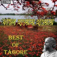 Ore Bhai Fagun Legechhe Amrita Dey Song Download Mp3
