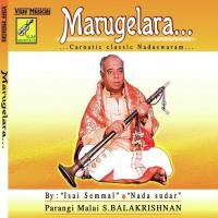 Marugelera - Carnatic Classic Nadaswaram songs mp3