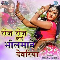 Roj Roj Kai Bhilmave Devariya Neelu Rangili,Mamta Rangili Song Download Mp3