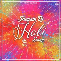 Punjabi Dj Holi songs songs mp3