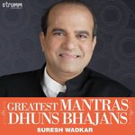 Om Namah Shivay - With Shiv Namavali Suresh Wadkar Song Download Mp3