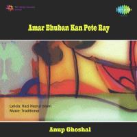Amar Bhuban Kan Pete Ray songs mp3