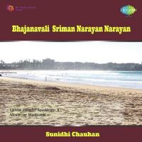 Sriman Narayan Narayan Sunidhi Chauhan Song Download Mp3