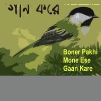 Boner Pakhi Mone Ese Gaan Kare songs mp3