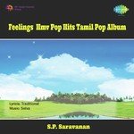 Feelings Pandit 2 Pandit Shiv Kumar Sharma Song Download Mp3