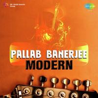 Pallab Banerjee Modern songs mp3