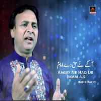 Aagay Ne Haq De Imam A.s Habib Rafiq Song Download Mp3