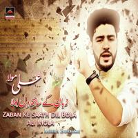 Zaban Ke Saath Dil Bola Ali Mola Mehdi Bukhari Song Download Mp3