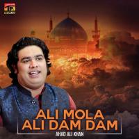 Ali Mola Ali Dam Dam Ahad Ali Khan Song Download Mp3