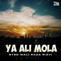 Ya Ali Mola Syed Wali Raza Rizvi Song Download Mp3