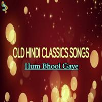 Hum Bhool Gaye songs mp3
