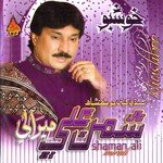 Palra Ae Zulfan Thaiyan Shaman Ali Mirali Song Download Mp3