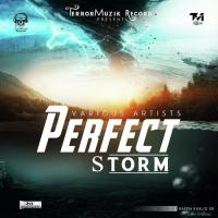 Perfect Storm songs mp3