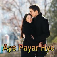Aye Payar Hye songs mp3