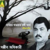 Kothao Amar Hariye Sanjib Adhikari Song Download Mp3