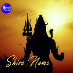 Mun Kanhiki Jibi Lo Kou Dhama Namita Agrawal Song Download Mp3