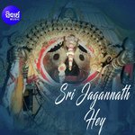Sri Jagannath Hey songs mp3