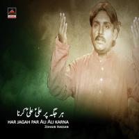 Har Jagah Par Ali Ali Karna Zohaib Hassan Song Download Mp3