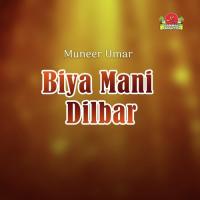 Biya Mani Dilbar songs mp3