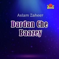 Zaheerani Shap Aslam Zaheer Song Download Mp3