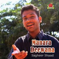 Manara Deewana Sagheer Shaad Song Download Mp3