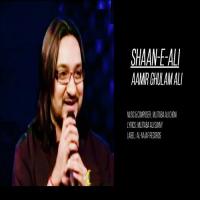 Shan-e-Ali Aamir Ghulam Ali Song Download Mp3