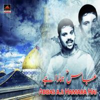 Abbas A.s Hamara Hai Amir Saeed Song Download Mp3