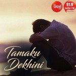 Tamaku Dekhini Humane Sagar Song Download Mp3