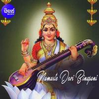 Namaste Devi Binapani Namita Agrawal Song Download Mp3
