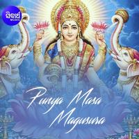 Manaku Dhoichi Namita Agrawal Song Download Mp3
