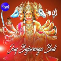 Tume Prabhunka Paain Bhakta Namita Agrawal Song Download Mp3