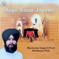 Aape Naam Japawe Bhai Gurtar Singh Ji Hoshiarpur Wale Song Download Mp3